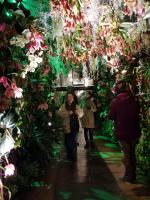 Albums/20200303-Kew Gardens/15